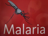Maliarija parsivežama iš užsienio šalių